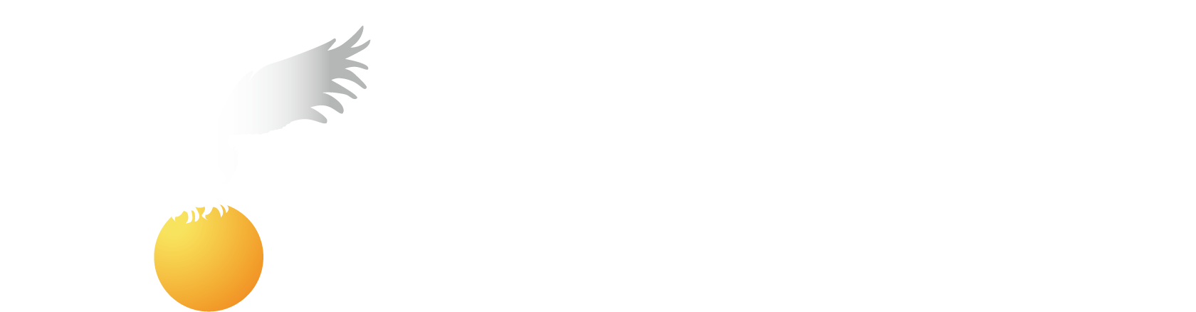 THEORY